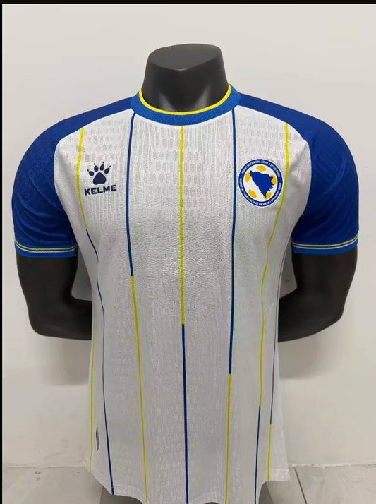 2026 Bosnia and Herzegovina home