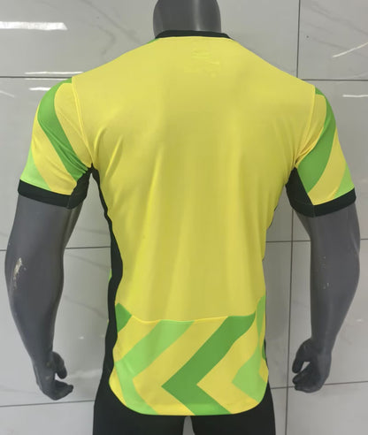 25/26 Australia home