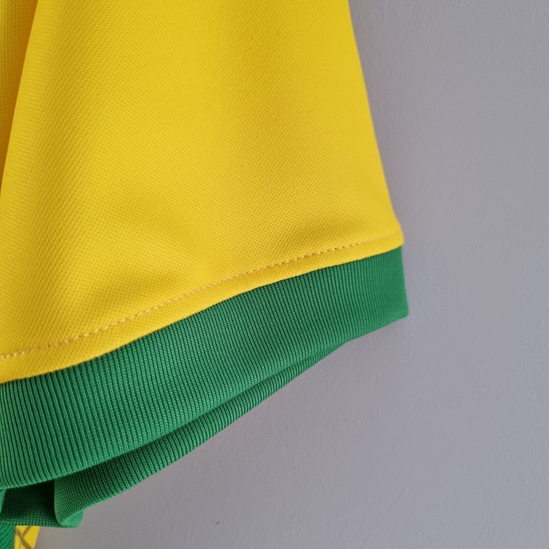 2022 Brazil special edition yellow